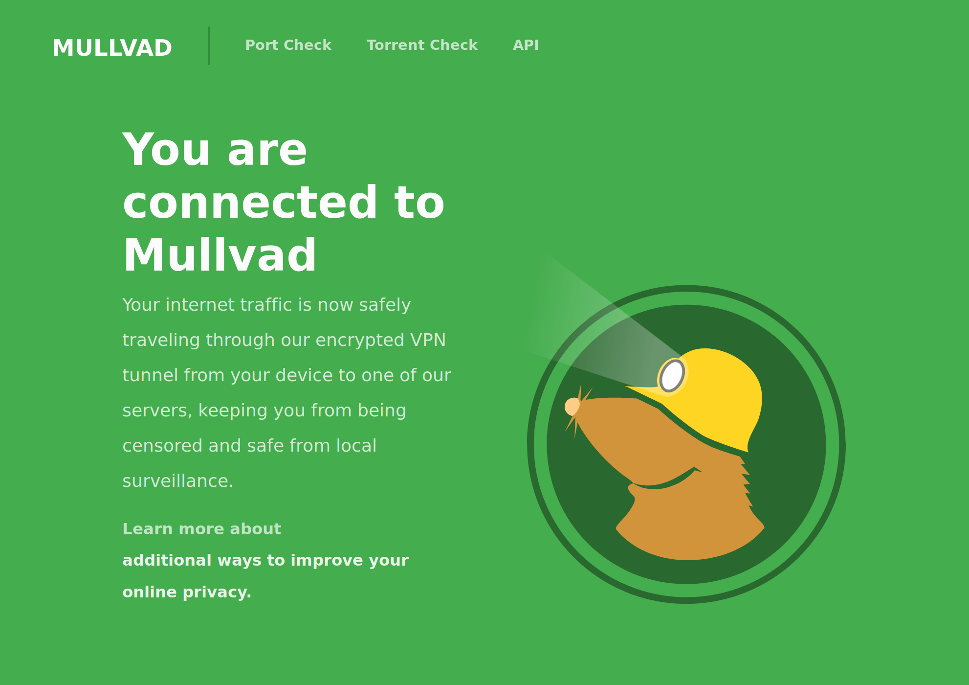 Am I Mullvad?