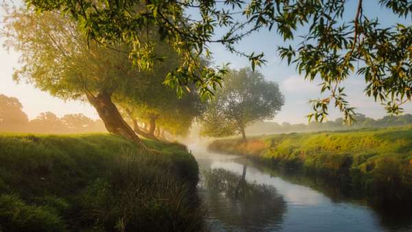 On a perfect spring morning Beverley Brook, a small but beautiful river that meanders through London’s Richmond Park, takes on a fairy tail quality in the dawn mist.