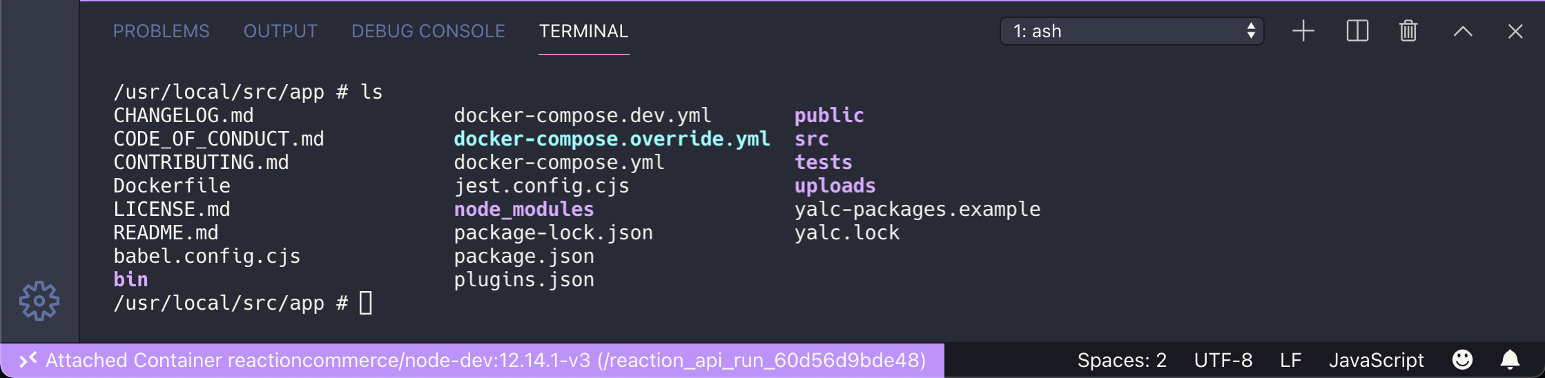 vscode editor window